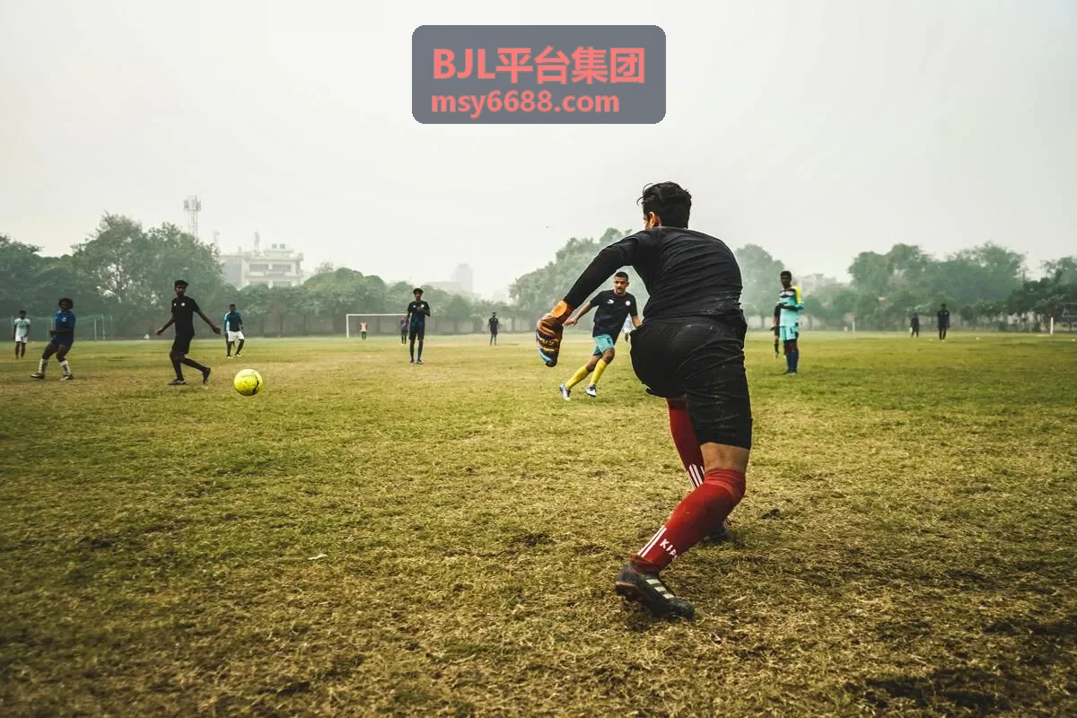 BJL平台集团高端策略背景