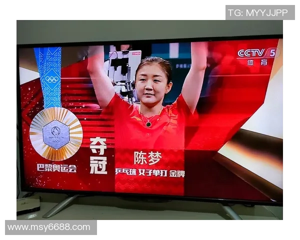 陈梦与武杨巅峰对决乒乓球赛精彩回顾与战术分析